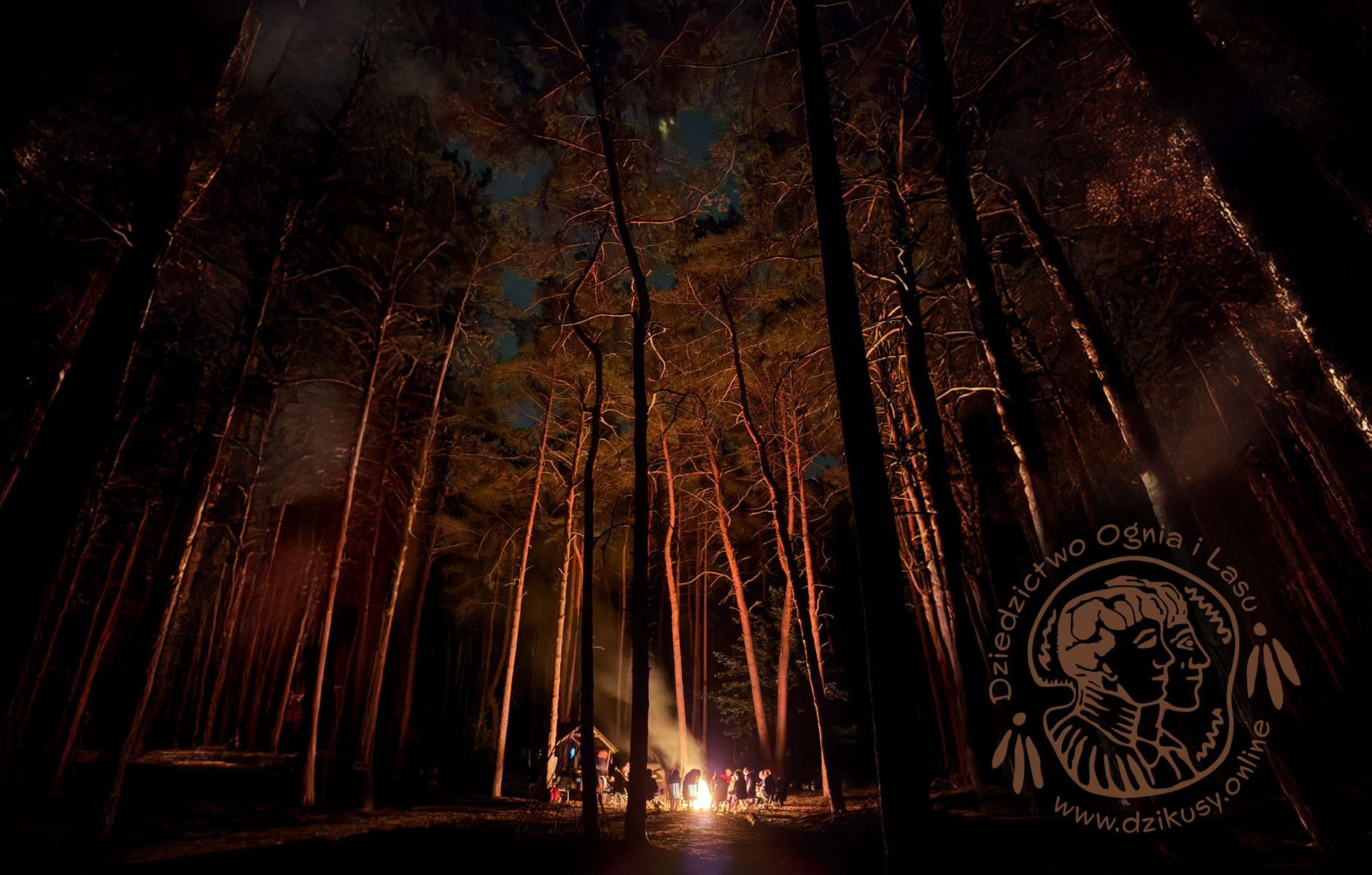 Dzikusy.Online ➳ Dziedzictwo Ognia i Lasu